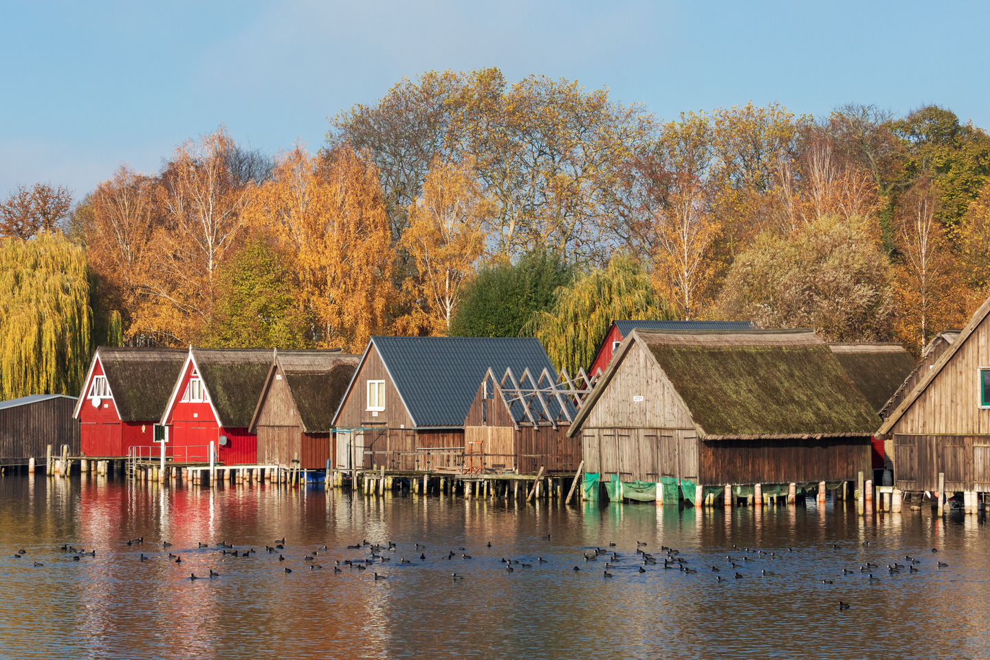 Germany's Most Beautiful Lakes Lake Müritz Shutterstock 1563828403